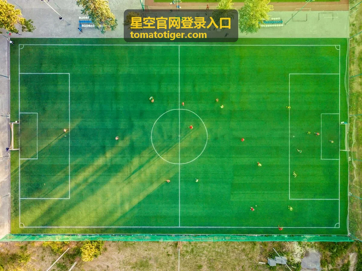 星空官网登录入口移动端访问核验
