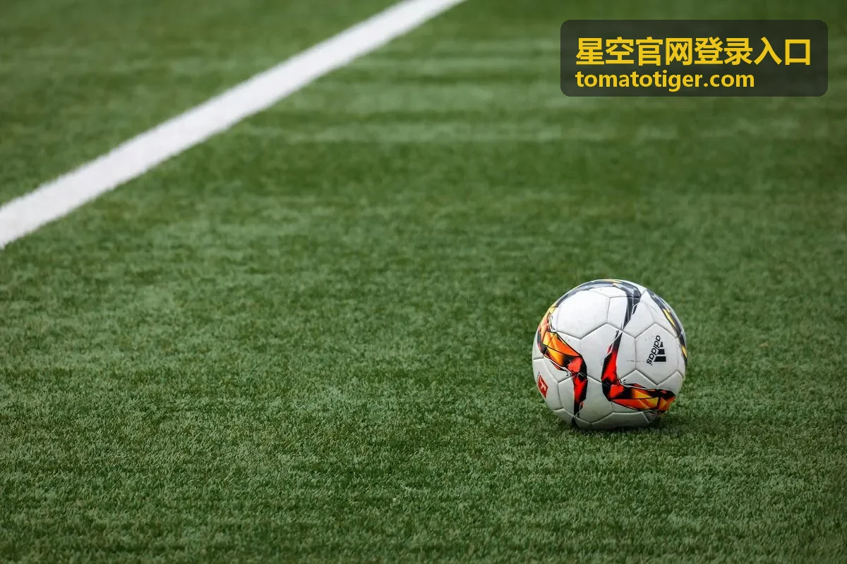 星空官网登录入口安全核验支持通道