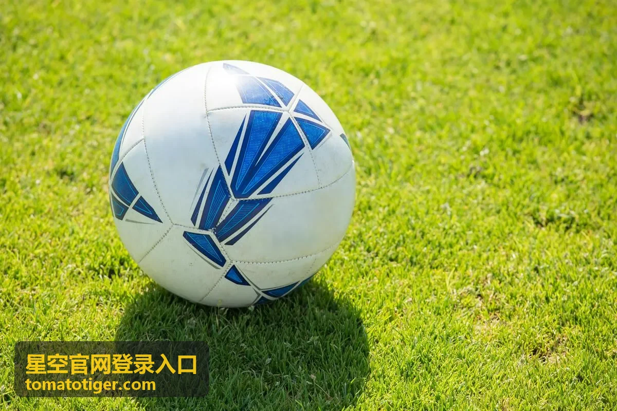 星空官网登录入口网络切换后核验