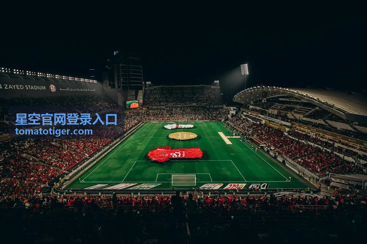 星空官网登录入口提示文案异常核验