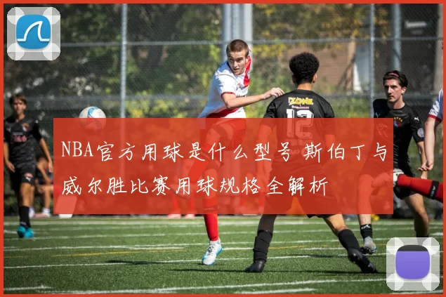 NBA官方用球是什么型号 斯伯丁与威尔胜比赛用球规格全解析
