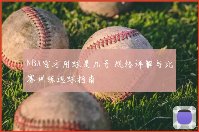 NBA官方用球是几号 规格详解与比赛训练选球指南