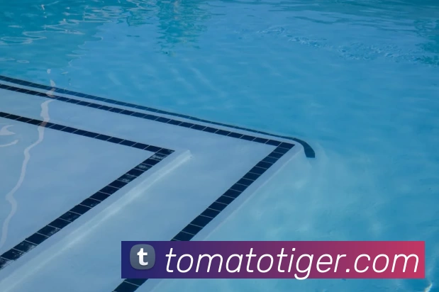 星空平台登录入口发展历程